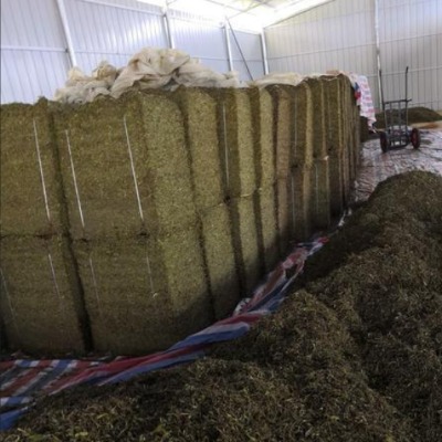 Soluzioni di applicazione della reggia tessuta WG nel Campo Agricolo