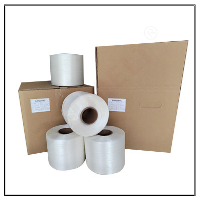  Reggetta Hot Melt 19MM 550kg