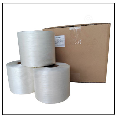Reggetta Tessile Hot Melt 25MM 780kg