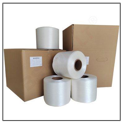 Reggetta In Poliestere Tessile WG BM 30 9 MM X 500 M Reggetta Hot Melt 