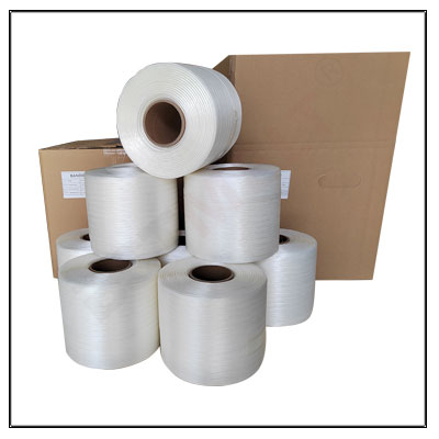 Reggia Hot Melt In Poliestere BM 40 13 MM X 500 M Reggetta Hot Melt