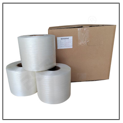Reggia In Fibra Di Poliestere BM 60 19 MM X 600 M Reggetta Tessile Hot Melt